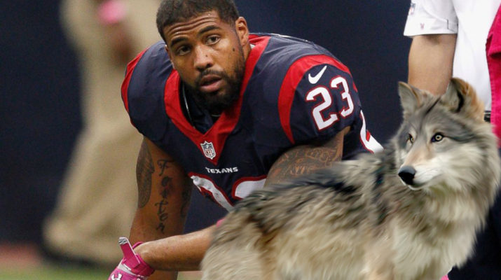 Arian Foster