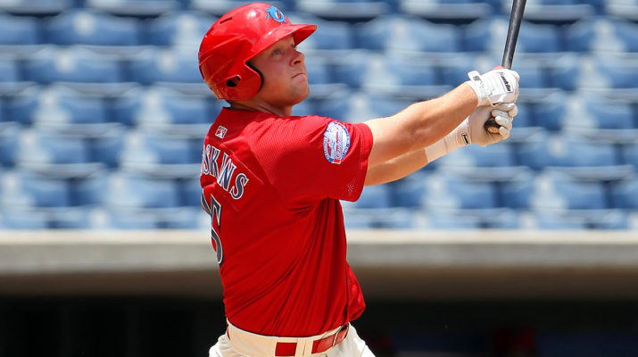 Rhys Hoskins